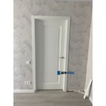 Двери SHELLY-1 белая эмаль ДГ